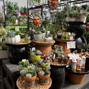 Photo of Pike Nurseries