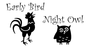Photo of Early Bird Night Owl