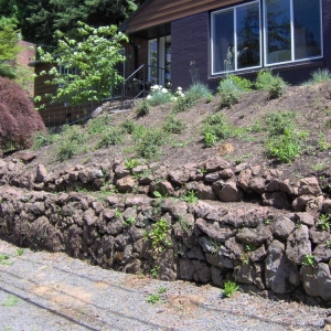 Photo of LBD Landscaping