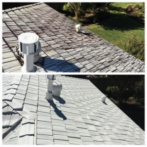 Photo of Total Power Washing Services