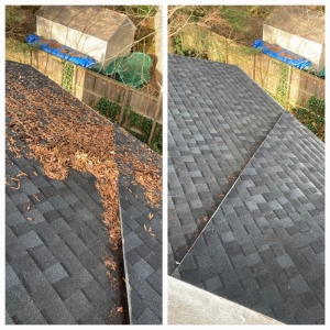 Photo of Total Power Washing Services