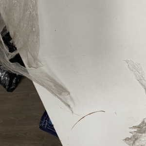 Photo of Bad Back Moving Company