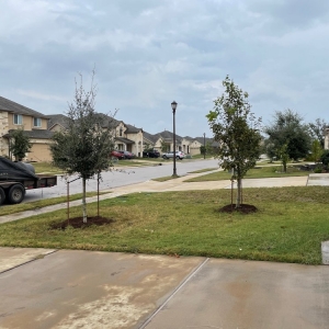 Photo of D & B Tree Company