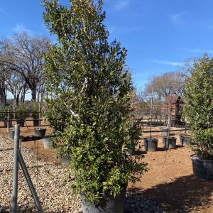 Photo of D & B Tree Company