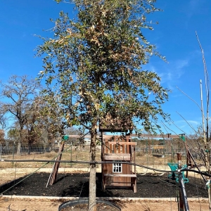 Photo of D & B Tree Company