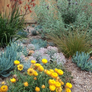 Photo of Bloom Garden Design