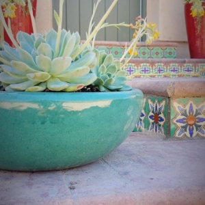 Photo of Bloom Garden Design