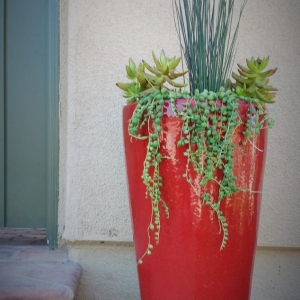 Photo of Bloom Garden Design