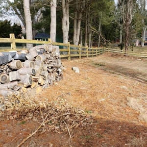 Norwood Green Family Fence