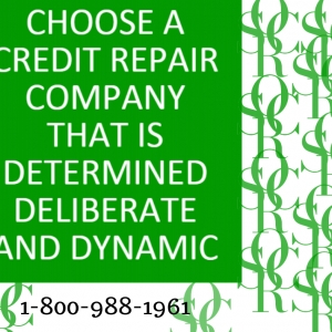 Photo of Optimal Credit Repair Solutions