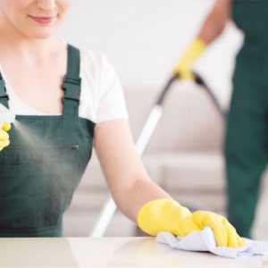 Photo of Soap N Suds Cleaning Service
