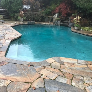 Photo of Putnam Swimming Pool Service Inc.
