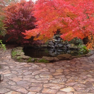 Sherwood A Peace of Mind Landscape