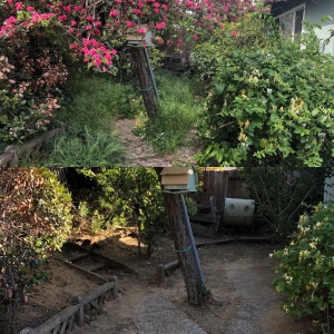 Photo of Inside Out Landscaping