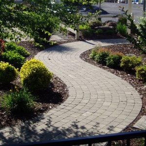 Photo of Metro Landscape & Construction