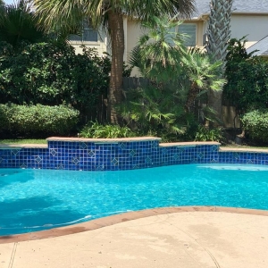 Photo of Clear Water Pools