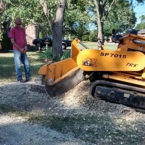 Photo of Falling Timbers Tree Service