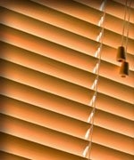Photo of Clearview Window, Blind & Screen
