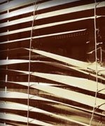 Photo of Clearview Window, Blind & Screen