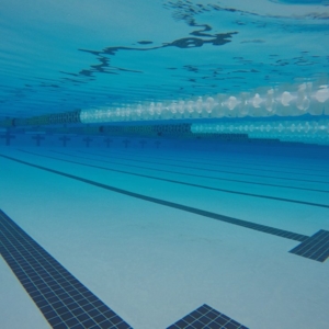 Photo of Underwater Unlimited