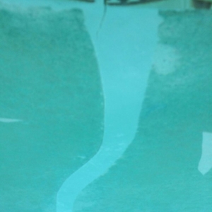Photo of Underwater Unlimited