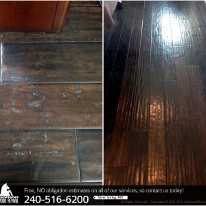 Photo of Hardwood Revival of Silver Spring