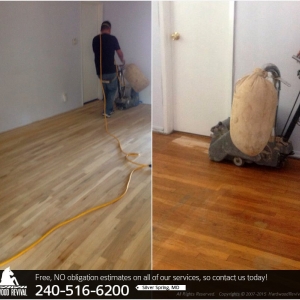 Photo of Hardwood Revival of Silver Spring