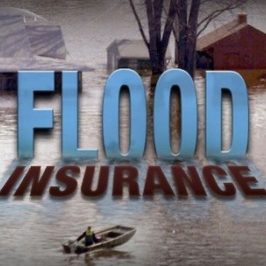 Photo of Premier Insurance Advisers