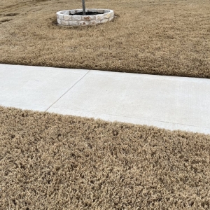 Photo of Austex Landscape And Design