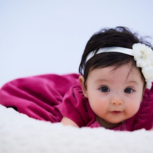 Photo of Dan M Lee Photography
