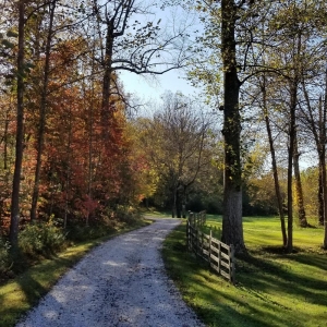 Photo of Rosa Lee Manor