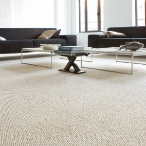 Photo of Mr.Steamer Carpet Cleaner