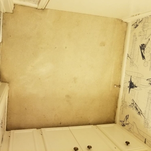 Photo of Mr.Steamer Carpet Cleaner