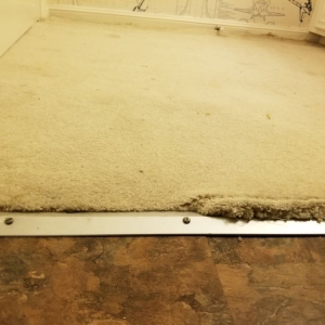 Photo of Mr.Steamer Carpet Cleaner