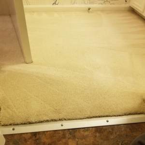 Photo of Mr.Steamer Carpet Cleaner