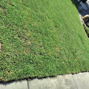 Photo of SANTI Landscaping