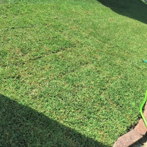 Photo of SANTI Landscaping