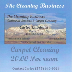Photo of The Cleaning Business