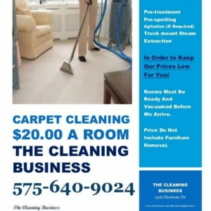 Photo of The Cleaning Business