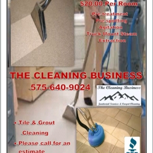 Photo of The Cleaning Business