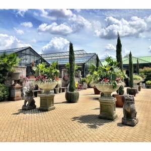 Photo of City Escape Garden & Design Center