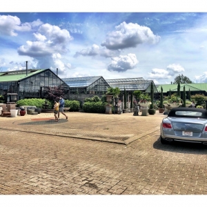 Photo of City Escape Garden & Design Center