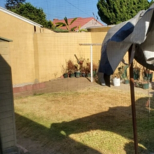 Photo of Lopez Gardening Services