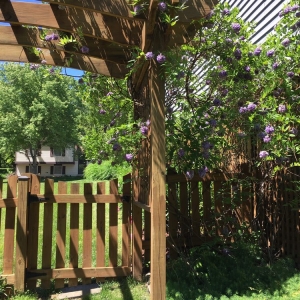 Photo of American Deck and Patio
