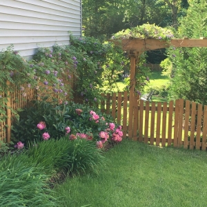 Photo of American Deck and Patio