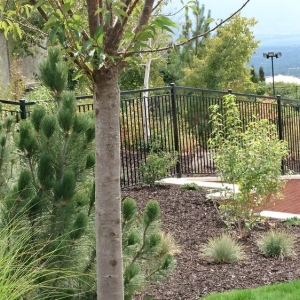 Photo of Ornamental Design & Fabrication