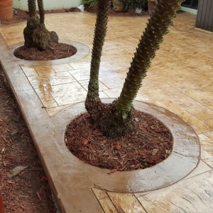 Photo of Fuentes Concrete