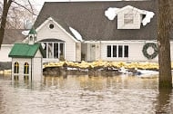 Photo of Rapid Restoration