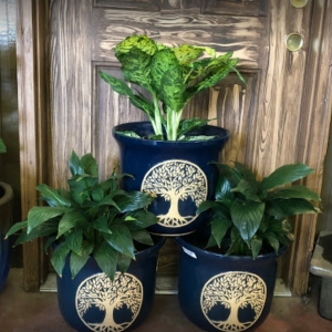 Photo of Horticare Landscape Management Company