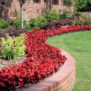 Photo of Horticare Landscape Management Company